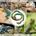 thumbnail image 4 of unbranded Reptile Tank Vine Para Terrario Con Aspecto Natural Y Uso Práctico, 4 of 6