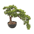 thumbnail image 1 of Bonsai Artificial 50cm Planta de Decoración, 1 of 6