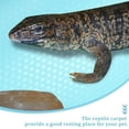 thumbnail image 3 of OULII Alfombra Compacta Para De Reptil Ideal Para Accesorios De Terrario Y, 3 of 6