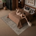 thumbnail image 5 of BERTHMEER 8'x10' Area Rugs for Living Room Bedroom Vintage Brown Carpets Kitchen Office Machine Washable Farmhouse Dining Room Oriental Rugs Non Slip Traditional Distressed Rugs, 5 of 9