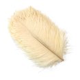 thumbnail image 3 of 10 plumas de avestruz grandes de 15 a 60 cm, plumas de avestruz blancas, centros de mesa de carnaval, accesorios de decoración para fiestas y bodas, 3 of 5