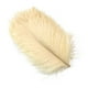 thumbnail image 3 of 10 plumas de avestruz grandes de 15 a 60 cm, plumas de avestruz blancas, centros de mesa de carnaval, accesorios de decoración para fiestas y bodas, 3 of 5