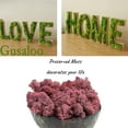 thumbnail image 3 of Moss Preserved Artificial Moss 8.8 oz Natural Fresh Green Moss for Craft Arts Floral Project Wall Decor Table Decor Wedding Centerpieces Garden Terrariums Decoration, 3 of 6
