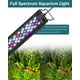 thumbnail image 4 of Lámpara LED para acuarios SEAOURA para plantas de 45 a 60 cm con temporizador, 4 of 8