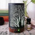 thumbnail image 4 of Essential Oil Diffuser Fragrance Aromatherapy Scented Oil Diffuser Ultrasonic Humidifier Whisper Quiet With Waterless Auto Shut-off 7 Led Night Light, 4 of 5