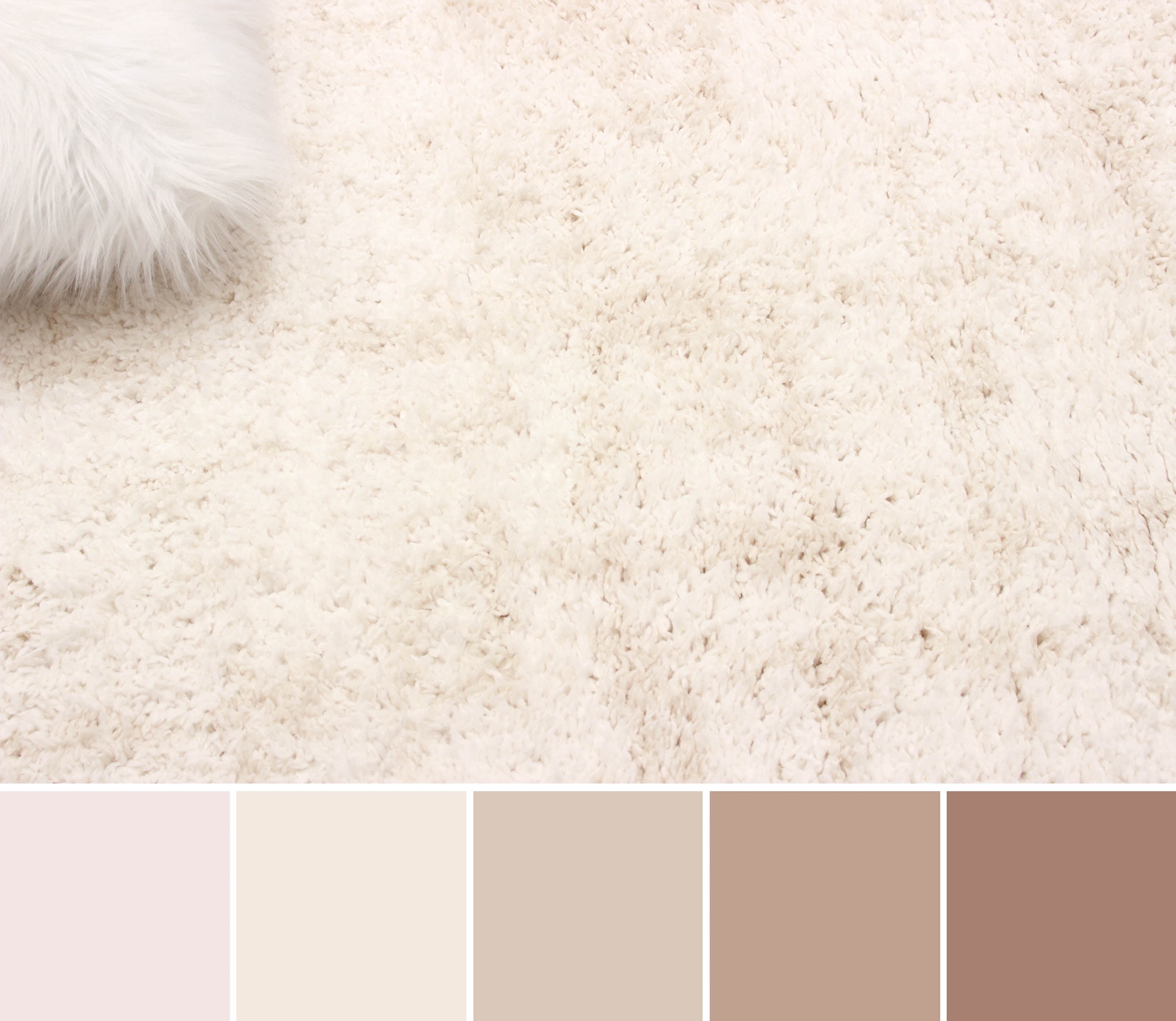 ECARPET Bliss Contemporary/Modern, Plush & Shags Area Rug for Living Room, Bedroom, Dining Room, Entrance, Hallway and More.
