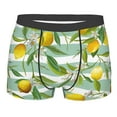 thumbnail image 5 of Uemuo Lemon Pattern Men's Boxer Briefs,Trunk Anti-Chafing,Comfortable, Durable, and Stylish Underwear-Medium, 5 of 9