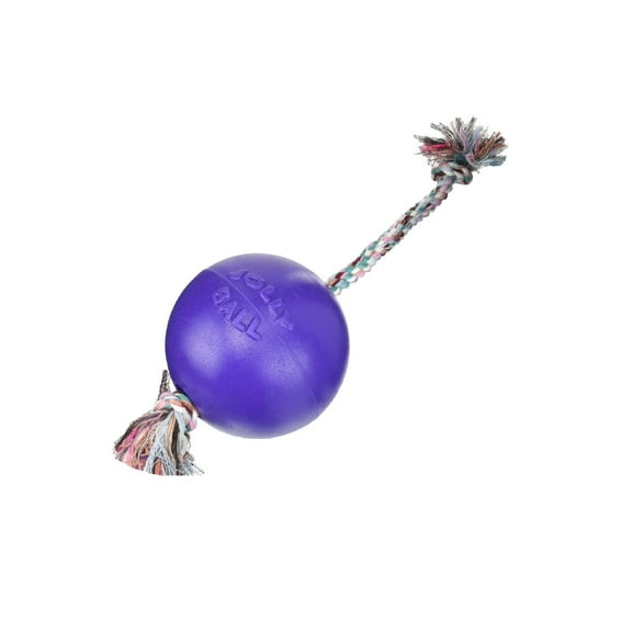 Floating Interactive Rope Dog Horse Toys Romp and Roll Dog Water Tug (Small - Purple)