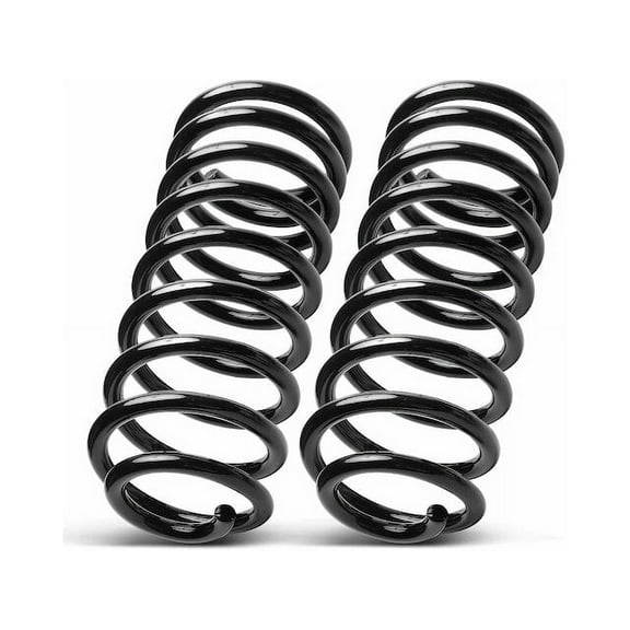 Rear Coil Spring Set 2 - Compatible with 1979 - 1995 Ford Mustang 1980 1981 1982 1983 1984 1985 1986 1987 1988 1989 1990 1991 1992 1993 1994