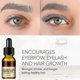 thumbnail image 2 of Eyelash Growth Serum Fast 7 Day Eyelash Enhancer Longer Fuller Thicker Lashes Eyelashes Eyebrows Enhancer Eyelash Care Product Tw,5ml, 2 of 5