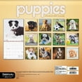 thumbnail image 6 of Trends International 2024 Puppies Wall Calendar, 6 of 7