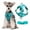 Blue-BU-clearacne, variant on OEFNTAC Home and Kitchen Reflective Pet Harness Leash Breathable Adjustable Vest Soft Padded No Pull for Cat Dog Outdoor Walking