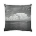 thumbnail image 1 of Ahgly Company Earth Nature Indoor Throw Pillow, 18 inch by 18 inch, 1 of 5