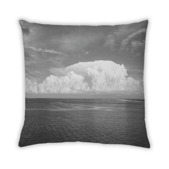 Ahgly Company Earth Nature Indoor Throw Pillow, 18 inch by 18 inch