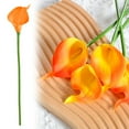 thumbnail image 1 of Meiiso Clearance Sale: Simulation Calla Lily Sunset Color, 1 of 9