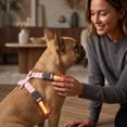 thumbnail image 6 of Light Up Dog Harness No Pull 12 Inch Reflective Adjustable Glow in The Dark Dog Walking Harness Waterproof Pet Chest Harness for Small Medium Large Dogs Yellow, 1 Pack, 6 of 6