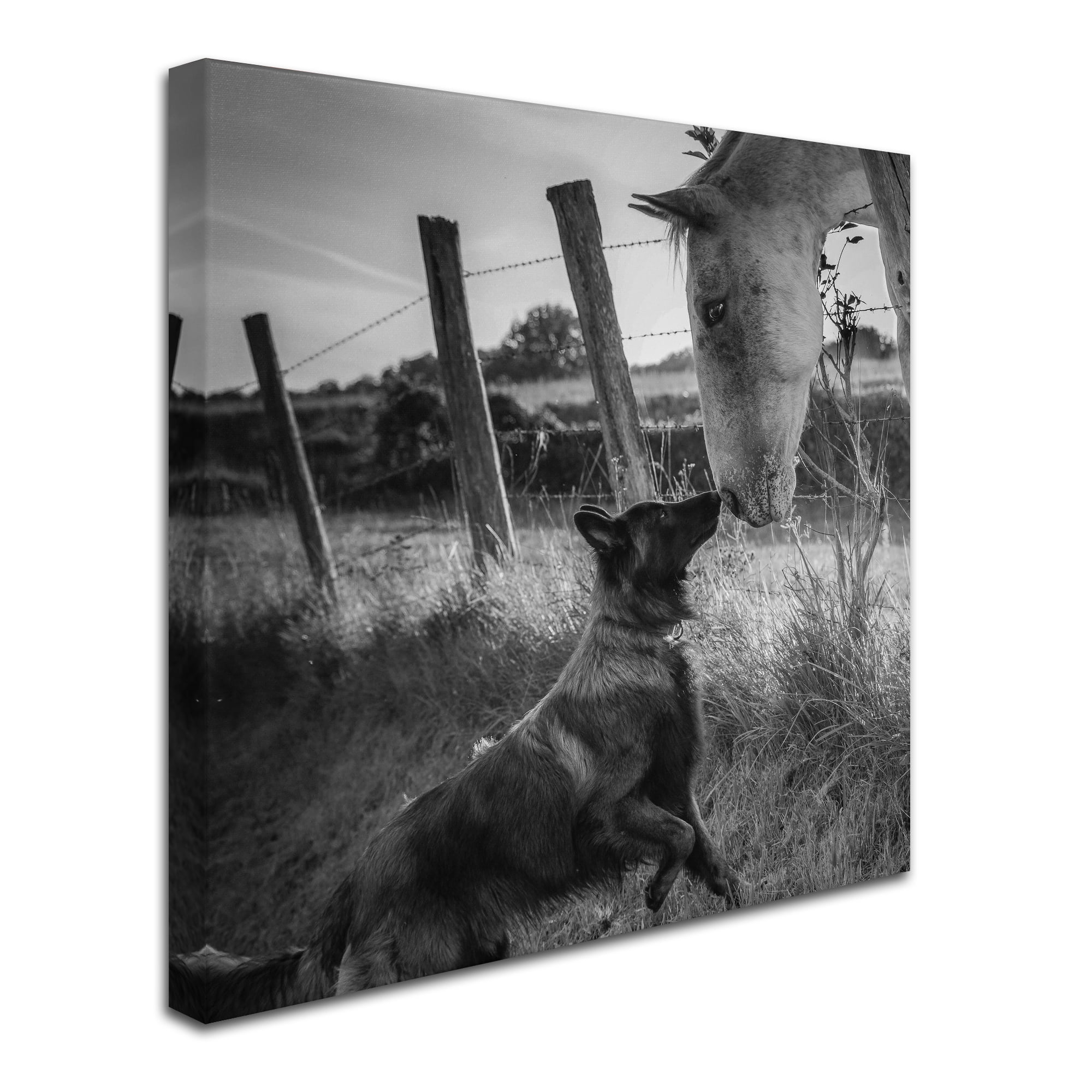 Trademark Fine Art 'Friend'S Kiss' Canvas Art by Christophe
