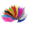 thumbnail image 2 of 100x Magnolia Skeleton Leaf Leaves for Jewelry Making DIY Necklace Earrings - Multicolor, 2 of 8
