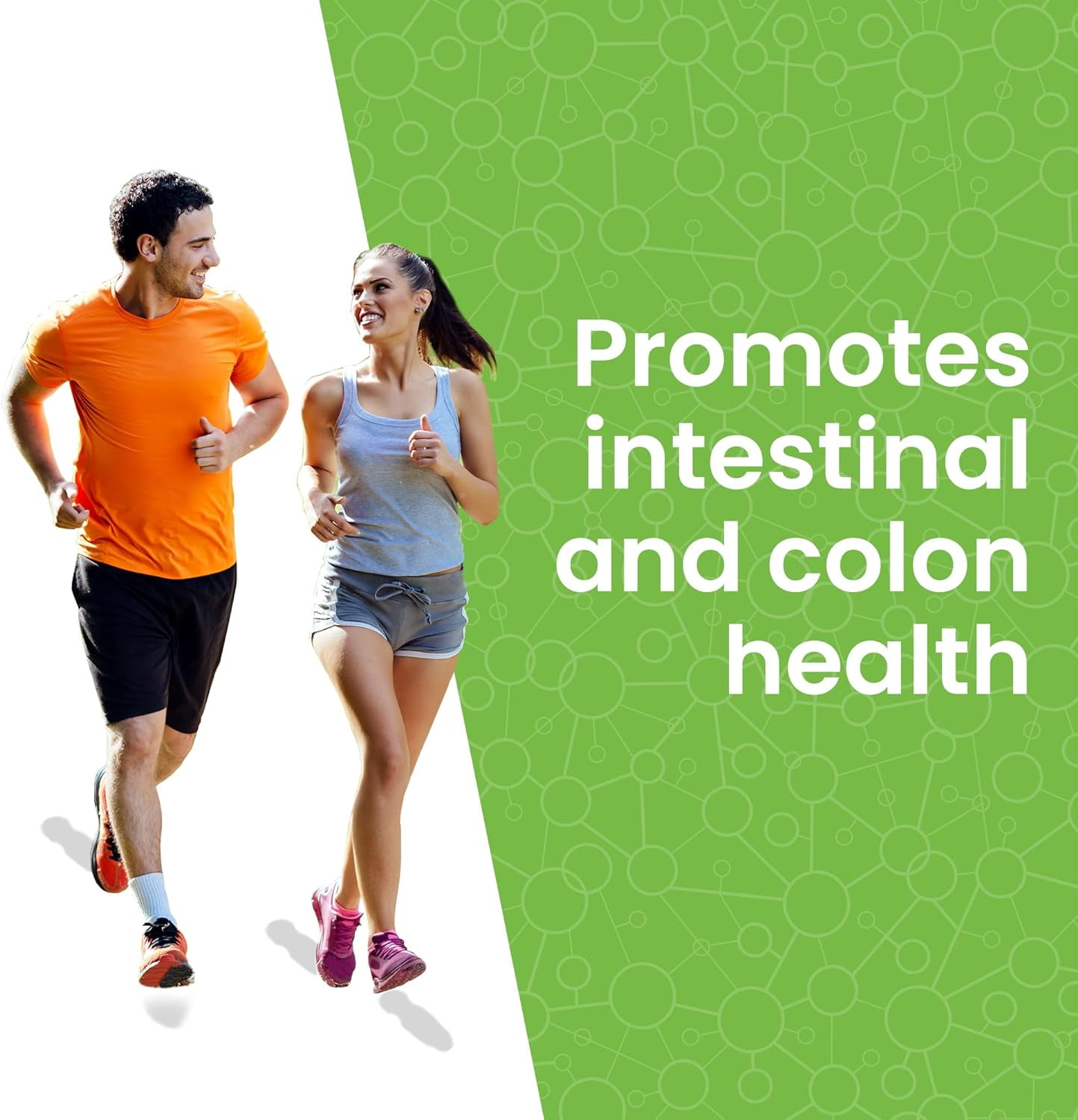 Lewis Labs Healthy Gut Prebiotic Fiber Powder 30 Servings - Fiber Supplement Powder, Fiber Probiotic Blend with Digestive Enzymes