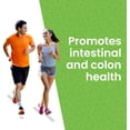 thumbnail image 2 of Lewis Labs Healthy Gut Prebiotic Fiber Powder 30 Servings - Fiber Supplement Powder, Fiber Probiotic Blend with Digestive Enzymes, 2 of 6