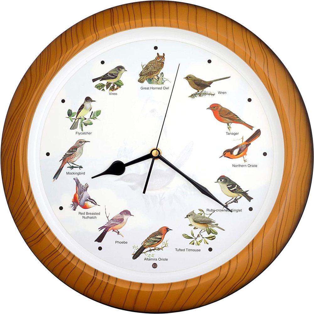 LAKeyen Lovely Collection 14inch Plays 12 Popular North American Birds