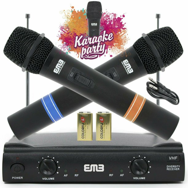 Vocal Karaoke Wireless Microphone System Dual Handheld 2 x Mic Cordless