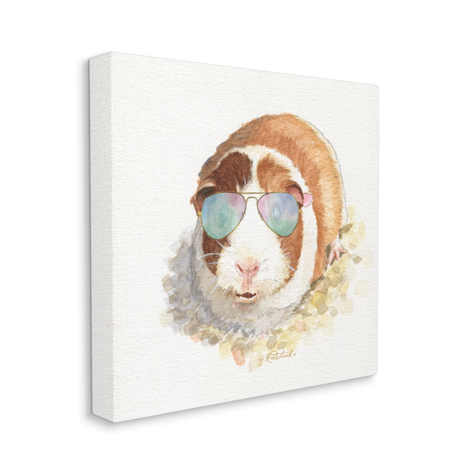 Stupell Industries Happy Guinea Pig Wearing Sunglasses Cheerful Watercolor Detail Painting Gallery Wrapped Canvas Print Wall Art, Design by Jennifer Redstreake