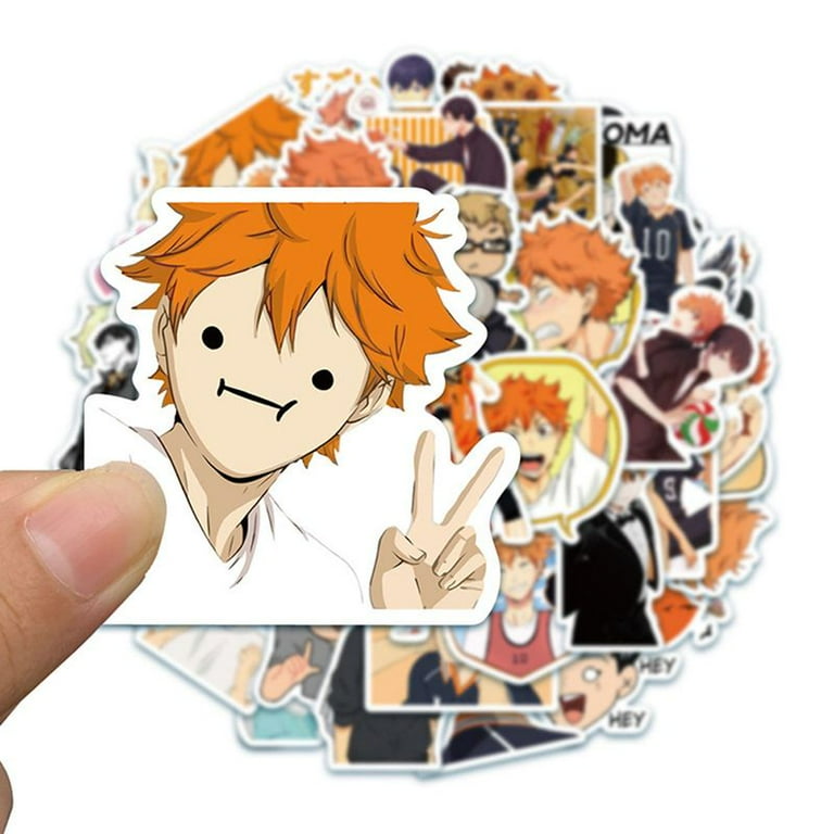 Taicanon 50Pcs Anime Haikyuu Stickers, Waterproof Vinyl Stickers