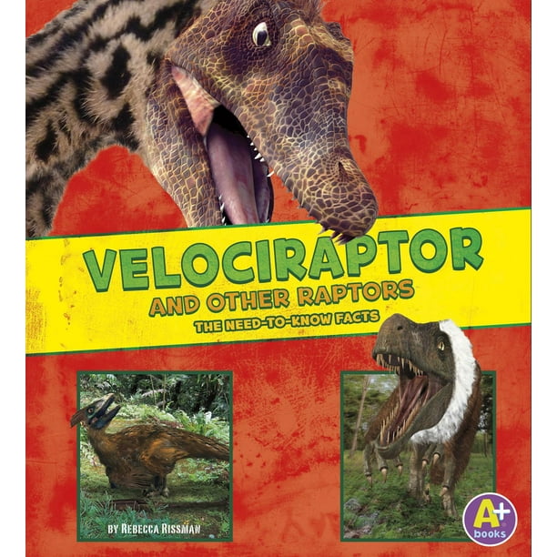 velociraptor and other raptors