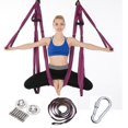 thumbnail image 1 of Juego completo de hamaca de yoga aérea de 6 asas, estilo no elástico, hamaca de fitness de gravedad inversa con extensión y placa para colgar, 1 of 6