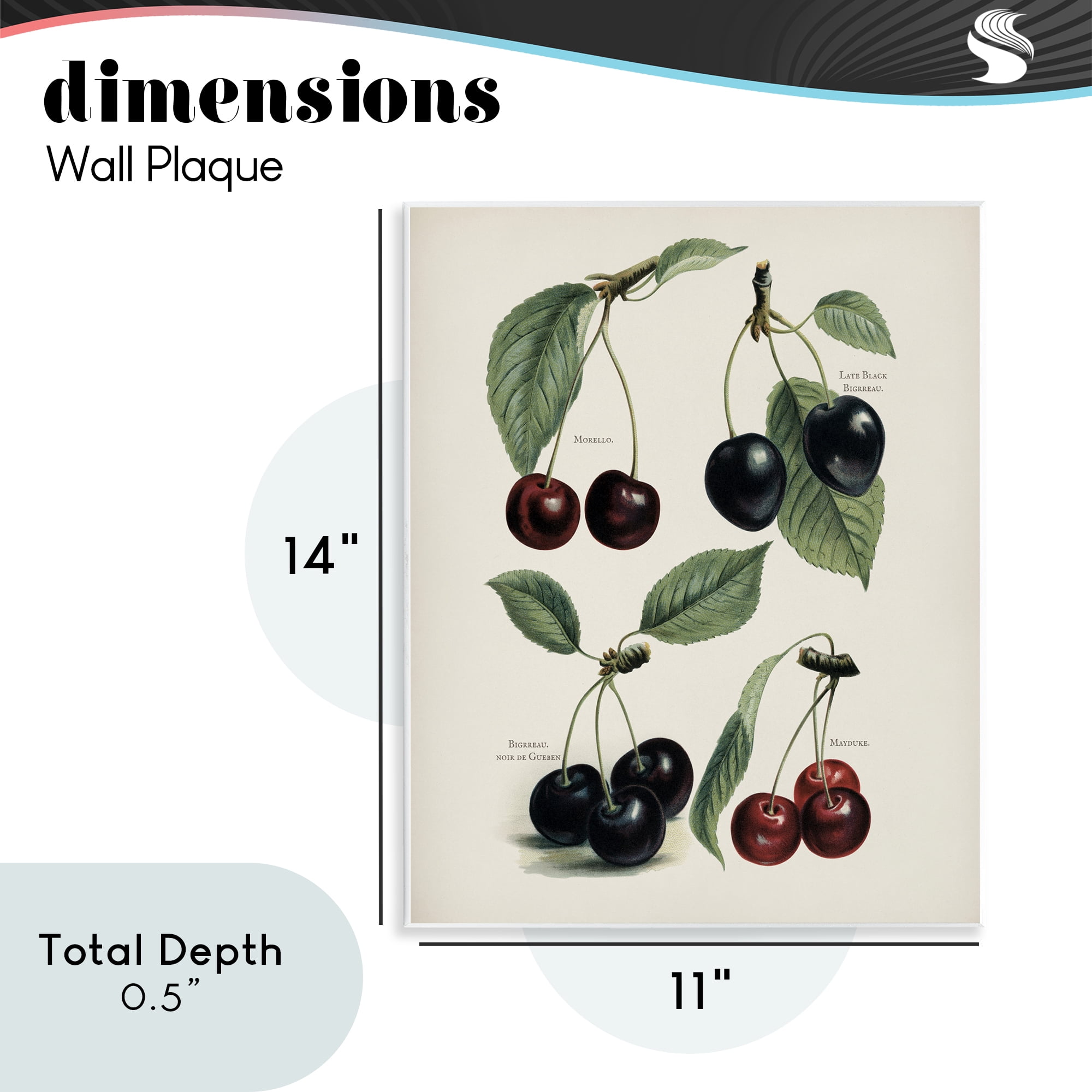 Natural Detailed Cherry Studies Wall Plaque Art, design by Lettered and Lined
