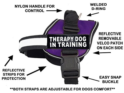 Therapy dog in training vest Clearance