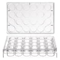 thumbnail image 4 of Milisten Assiette de Culture en Plastique Premium 24 Puits, 4 of 5