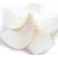 thumbnail image 3 of 100 Pack White Foam Hawaiian Frangipani Artificial Plumeria Flower Petals Cap Ha, 3 of 5
