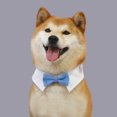 thumbnail image 3 of CSChome Collier pour Animaux de Compagnie Ajustable Collier Attache Douce Col de Chien Cravate Fournitures pour Animaux de Compagnie Collier de Cravate, 3 of 7