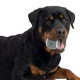 thumbnail image 2 of One Paw, Classic Tennis Ball for Dogs, Grey, Multiple Colors Available, 2 of 6
