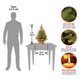 thumbnail image 4 of National Tree Company 2 ft. Snowy Concolor Fir Tree with LED Lights, 4 of 5