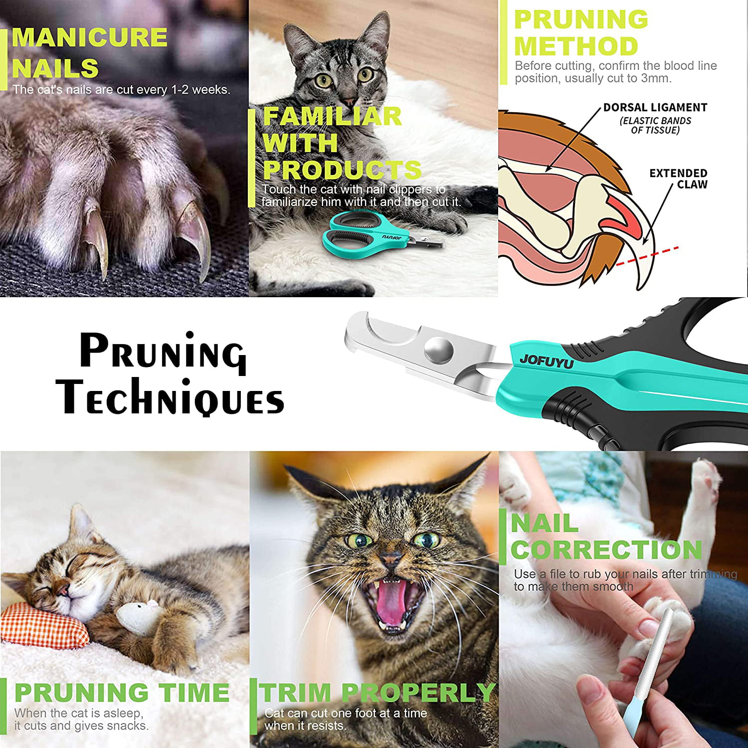 How to Trim Your Cat's Nails Painlessly | PrettyLitter