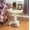 White, variant on Round Wood Pedestal Side Table Espresso Finish 26 Inch Accent End Table for Living Room