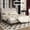 Beige, variant on Frostbloom Velvet Upholstered Full Platform Bed Frame with Storage Headboard Shelf, USB & Type-C Charging Ports, Black