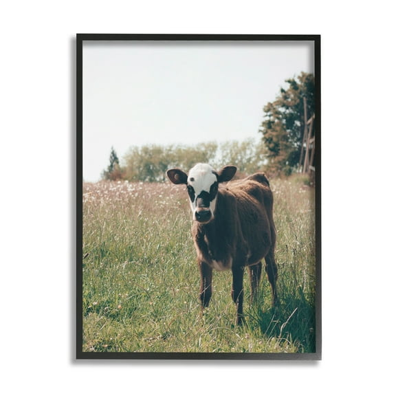 Stupell Industries Cow Calf Rural Farm Meadow Animals & Insects Photography Black Framed Art Print Wall Art