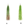 thumbnail image 4 of Wosthever 12 Uds. Enredadera simulada colgante de plástico Natural y exquisita para interiores y exteriores que añade un toque de vitalidad al Type3 NO3, 4 of 6