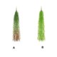 thumbnail image 3 of Moyic Paquete de 12 uvas artificiales para decoración y plantas artificiales colgantes de brillo para el hogar y plantas naturales Decoración Cola roja, 3 of 6