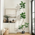thumbnail image 6 of 7FT Artificial Plants Rubber Tree with Black Resin Pot& White Stone Faux Fiddle Leaf Fig Tree Indoor Artificial Trees Tall Plant Fake Tree Tropical Large Floor Tree Real Touch for Home Deco, 6 of 7