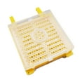 thumbnail image 1 of Accesorios de la cría de abejas queen Bee Accesorios Multifuncionales fáciles de uso Bee Keeper Tool Tool Caja de cría Queen para Apicultura Amarillo, 1 of 8