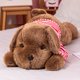 thumbnail image 1 of Nuevo perro gigante de peluche suave tumbado, juguetes con relleno de animales, cojín para dormir, almohada, muñecas para niños, regalos de cumpleaños y Navidad, 1 of 5