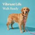 thumbnail image 5 of Vibrant Life Standard Dog Leash, 4 ft, Pink, Polyester, M, 5 of 10