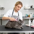 thumbnail image 7 of FEOLGEHLY Pet Dematting Comb for Dogs Cats - Undercoat Rake Deshedding Brush with Stainless Steel Rounded Tips, Non-Slip Handle, Gentle on Skin, Tool for Long Short Hair Breeds (Pink), 7 of 7