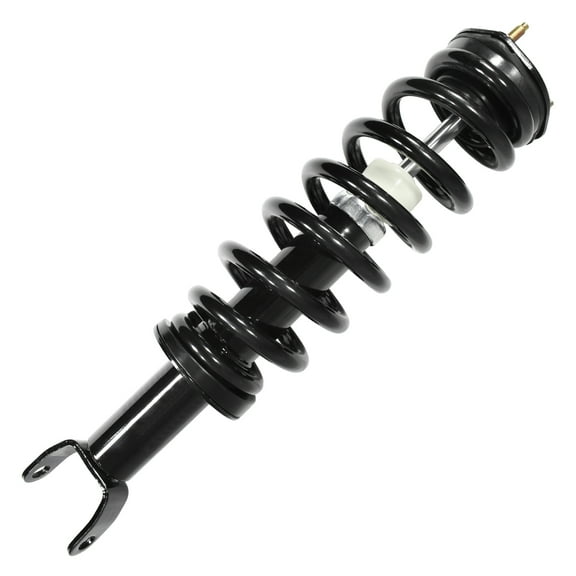 Unity Automotive Front Complete Strut Assembly Fits 2009-2010 Dodge Ram 1500, 11620