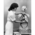 thumbnail image 2 of Side profile of a female medical student fixing a rib cage in an anatomical model Poster Print, 2 of 4